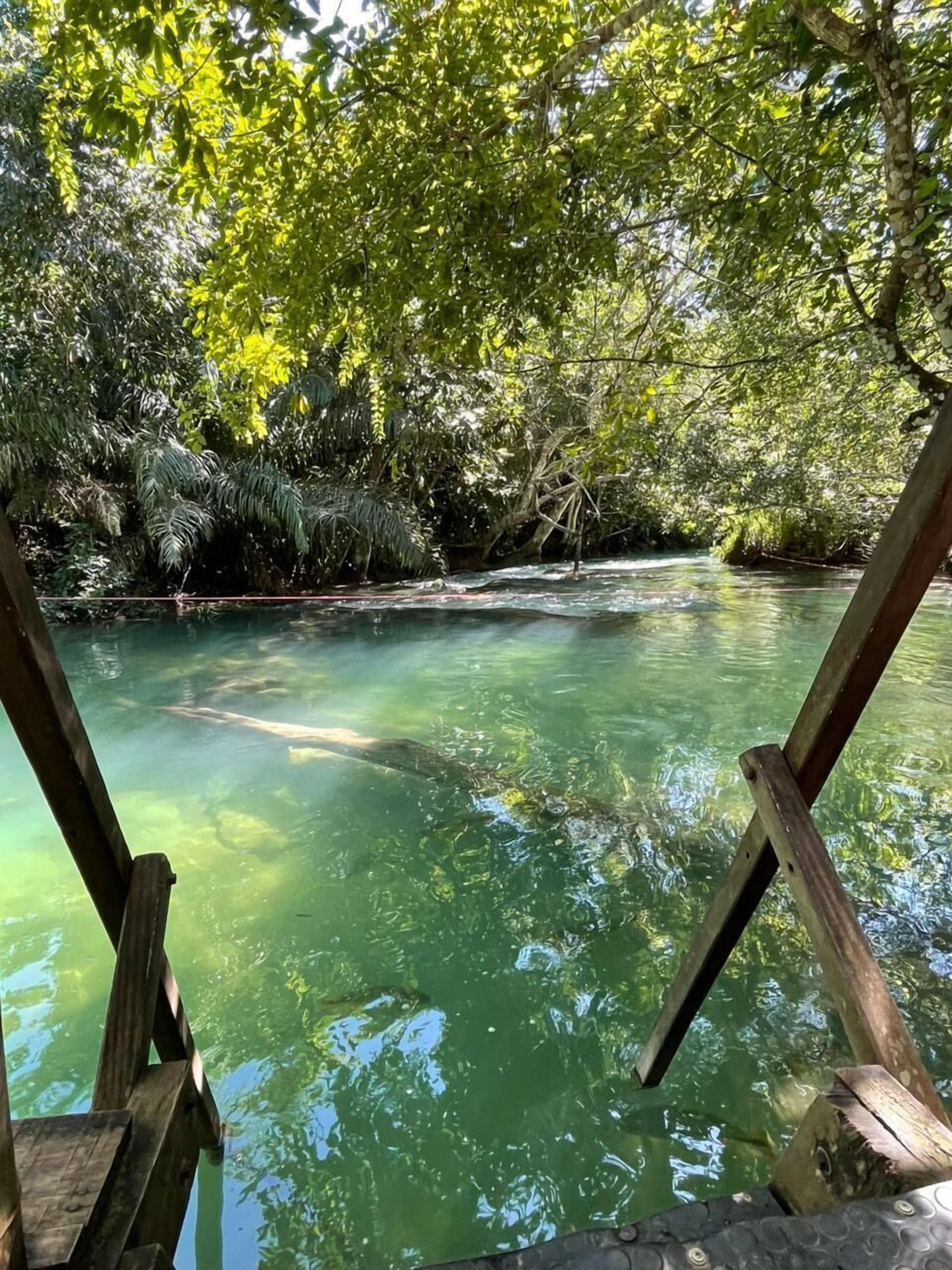 A wooden viewing platform overlooking a clear river with surrounding dense greenery.