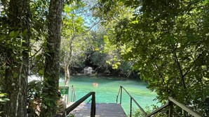 A wooden bridge leading to a clear water body surrounded by dense greenery.