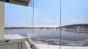 Blick aus einem Fenster auf einen zugefrorenen Fluss mit schneebedeckten Ufern und eine entfernte bewaldete Gegend.