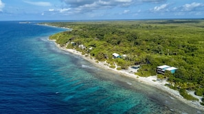 Eine Vogelperspektive zeigt ein Küstengrundstück mit Strand, dichtem Grün und blauem Meer.