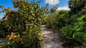 Un chemin de gravier bordé d’une végétation luxuriante et de différentes espèces de plantes.