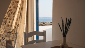 Une pièce avec vue sur la mer, une chaise blanche, une table et un vase avec des plantes.