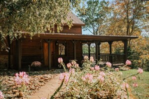 Exterior - Game room, hot tub, SAUNA, cold plunge retreat! (Laurelville)
