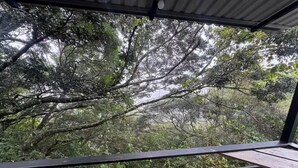 A balcony with a view of dense forest. - villa sunset (Santa Elena)