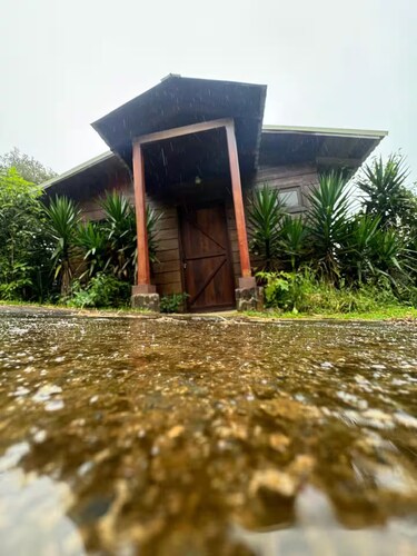 howler monkey cabin