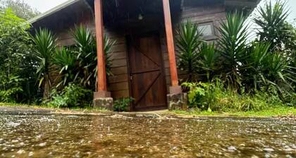 howler monkey cabin