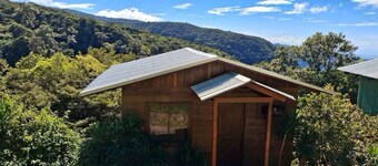 howler monkey cabin