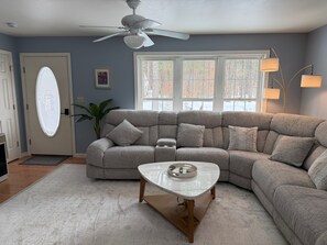 Smart TV, fireplace, books