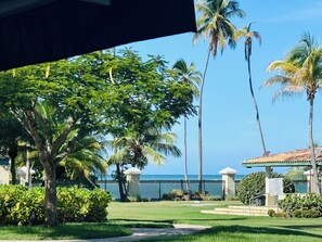 A lush garden with palm trees and a view of the ocean. - Famous beach resort, 5 pools & children's water park / full air conditioning / ocean view (Loiza)