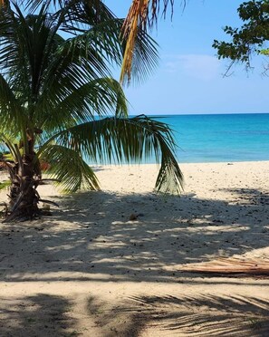 A beach with a palm tree and clear blue water. - Famous beach resort, 5 pools & children's water park / full air conditioning / ocean view (Loiza)