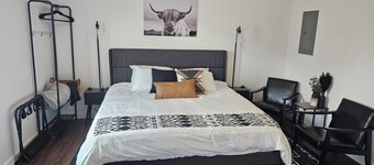 Newly remodeled single king modern apartment