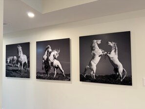 شقة - تجهيزات لذوي الاحتياجات الخاصة | 3 عدّة غرف نوم