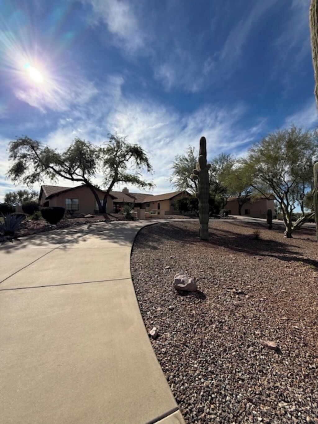 Un quartier résidentiel avec des maisons, un cactus et un ciel dégagé.