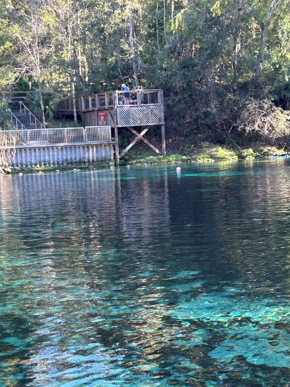A wooden dock with a viewing platform, surrounded by trees and clear water.