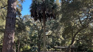 A park with picnic tables, a playground, and a large tree. - Fabulous private RV pad with full hookups, sewer and water located in Old Town (Old Town)
