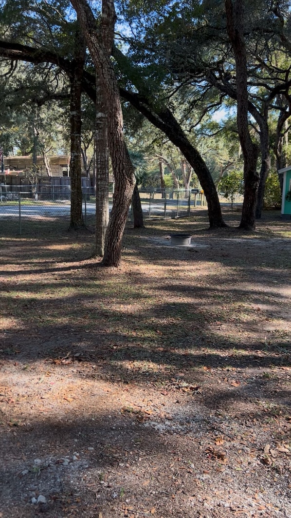 المنطقة المحيطة بالمنشأة