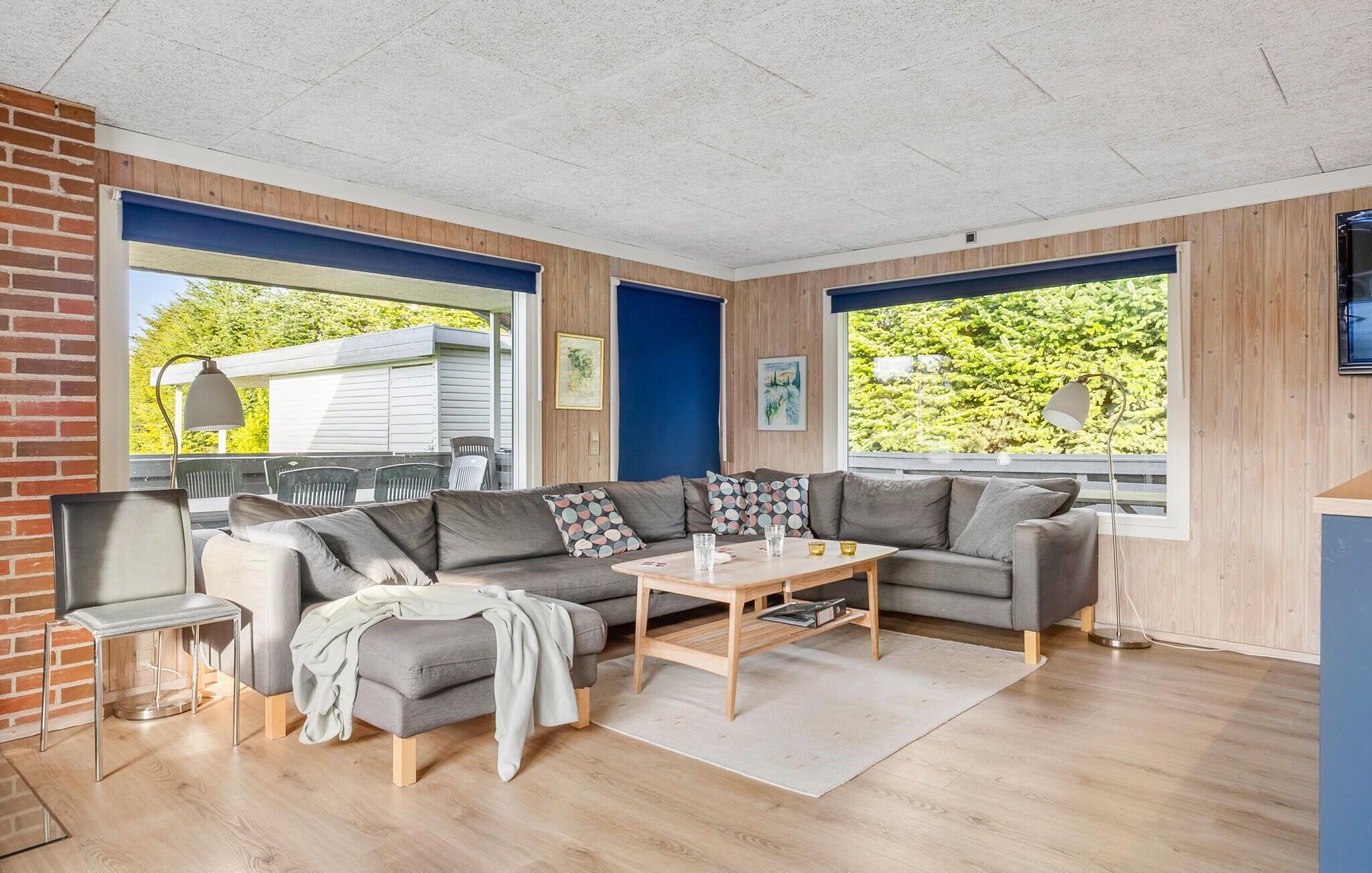 Télévision, cheminée, lecteur de DVD