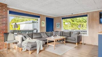 Télévision, cheminée, lecteur de DVD