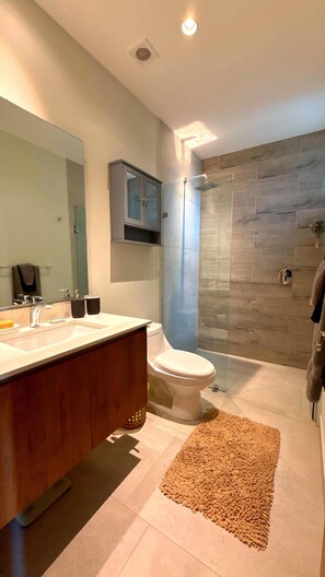 Hair dryer, towels, soap, toilet paper