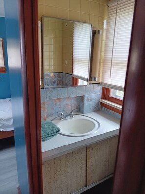 Shower, towels, toilet paper - Gorgeous 1-bedroom tiny house with AC in charming Lewisburg (Lewisburg)