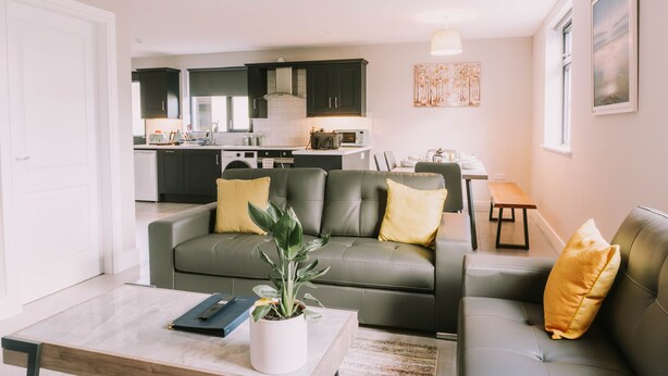 Een moderne woonkamer met een bank, salontafel en een potplant.