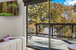 TV, fireplace, offices - Dragonfly Landing on Beaver Lake, w/ lake access at hot tub (Rogers)