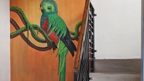 A staircase with a mural of a bird on a branch, a handrail, and a tiled floor. - Hotel Amanecer Atitlán (San Juan La Laguna)