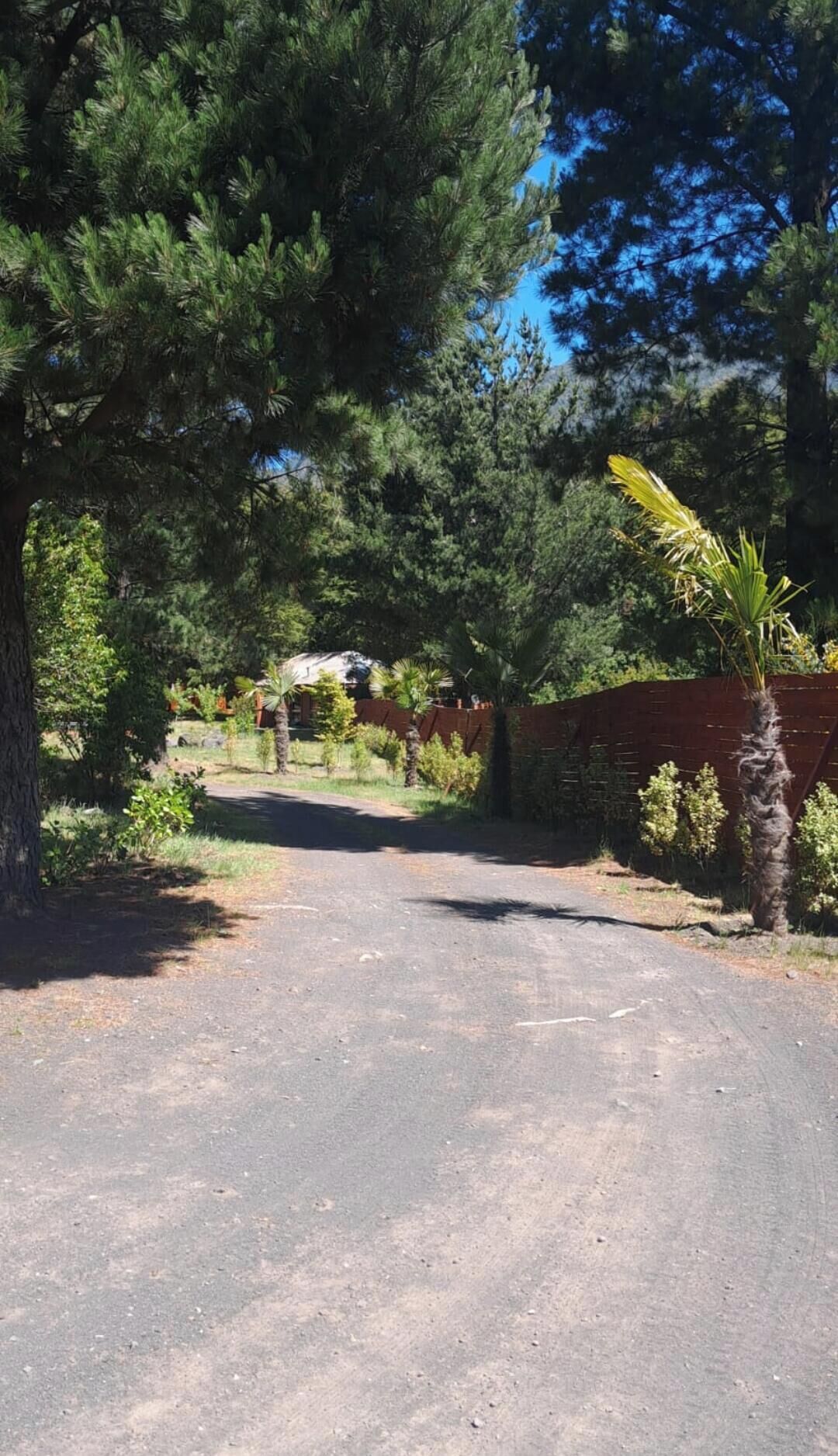 Een verharde oprit leidt naar een huis, omringd door dichte bomen en een bakstenen muur.