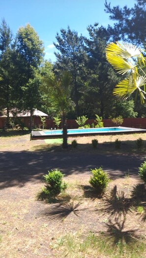 Property grounds - Torres del Bosque Cabins (Pucon)