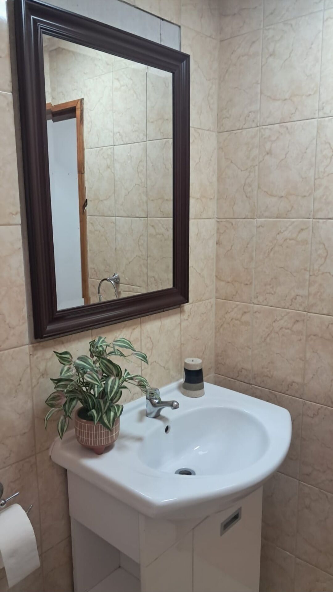 Une salle de bain avec un lavabo blanc, un miroir à cadre foncé et une plante en pot.
