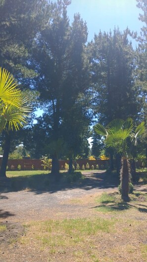 Property grounds - Torres del Bosque Cabins (Pucon)