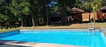 Torres del Bosque Cabins