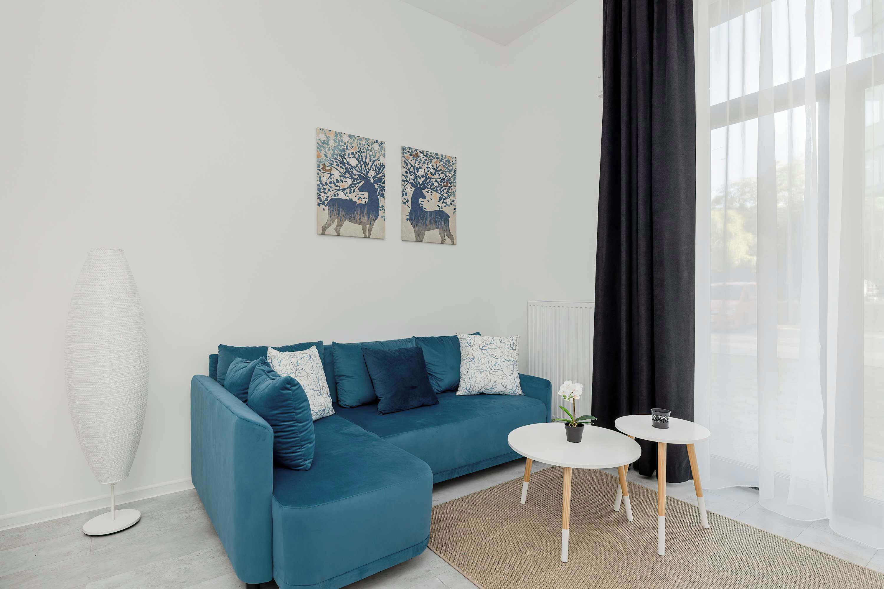 Relax in the stylish living area with a comfortable sofa and modern decor.