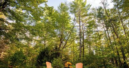 Modern Woodland Escape w Wshr dryer and Large Yard