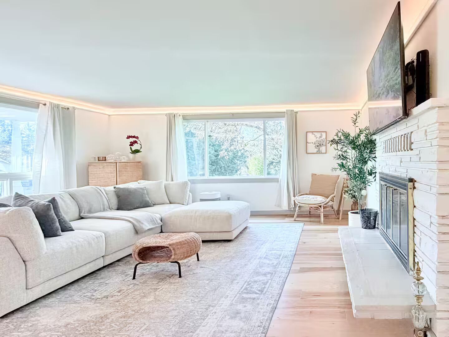 Smart TV, fireplace, books