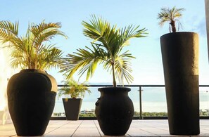 Terrace/patio - Luum Vibe · Free soul and a refuge in the jungle. (Tulum)