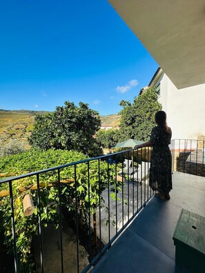 Property grounds - Casa Terras do Douro (Armamar)