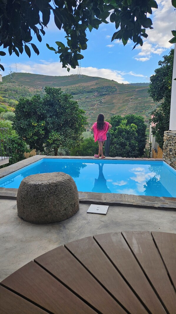 Pool - Casa Terras do Douro (Armamar)