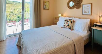 Casa Terras do Douro