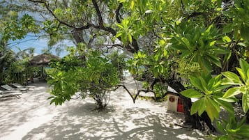 Enceinte de lâhĂ©bergement