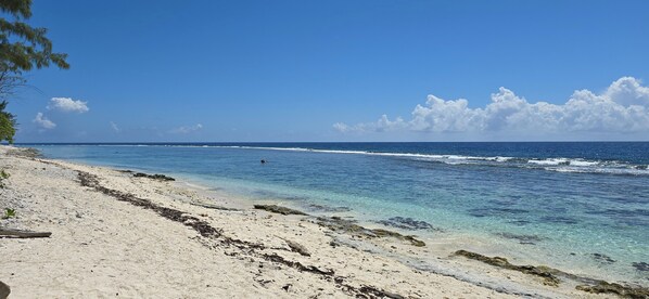 Sun-loungers, beach towels
