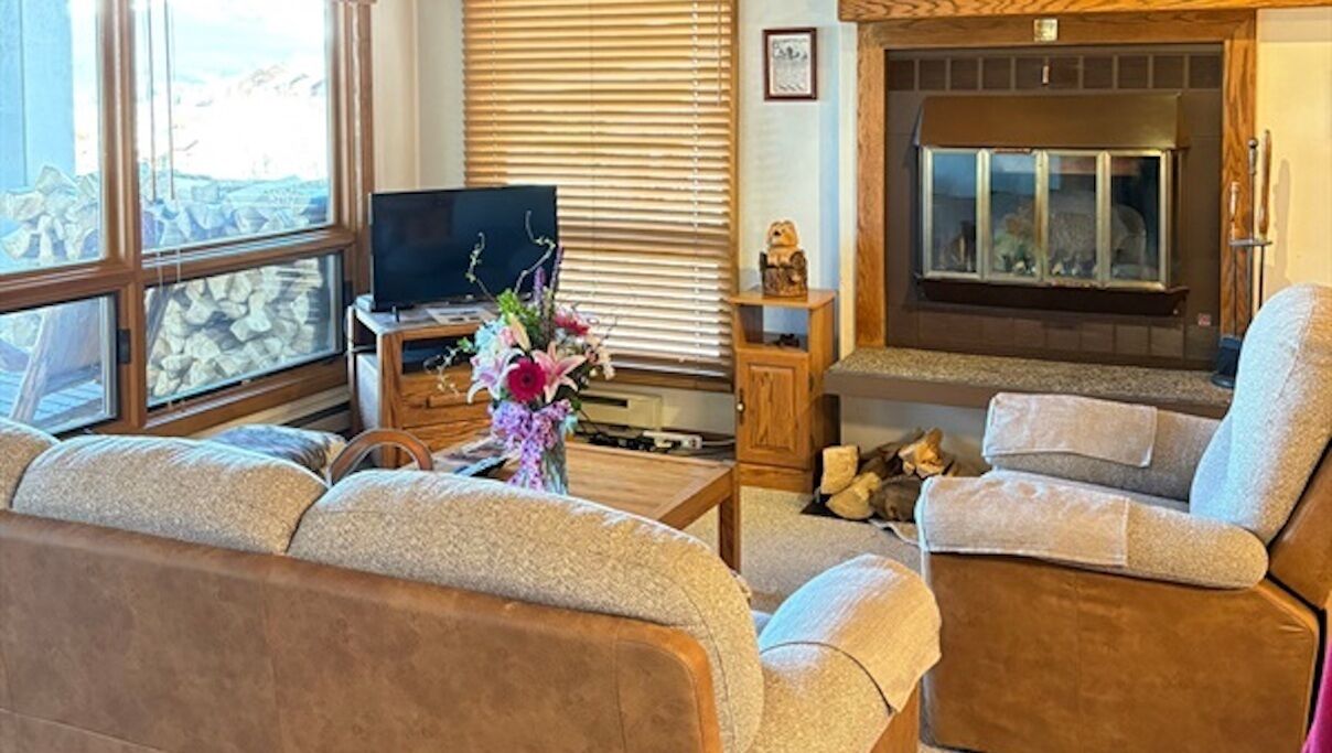 智能电视、壁炉、书