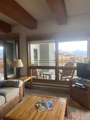 智能電視、壁爐、書籍