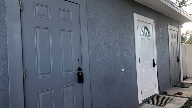 A building with two grey doors, one with a number '3' and a mailbox, and a small dog on the porch. - Pleasant 1-bedroom NEW Studio 3 with NEW AC in Pinellas Park (Pinellas Park)