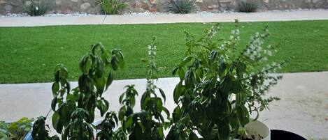 المنطقة المحيطة بالمنشأة