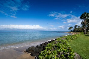 Beach - KAHANA SPACIOUS 3 BEDROOM CONDO; BEACH ON SITE; EXCELLENT VIEWS (Lahaina)