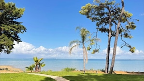 Ein Küstenpfad mit einer Bank, Palmen und Blick aufs Meer.