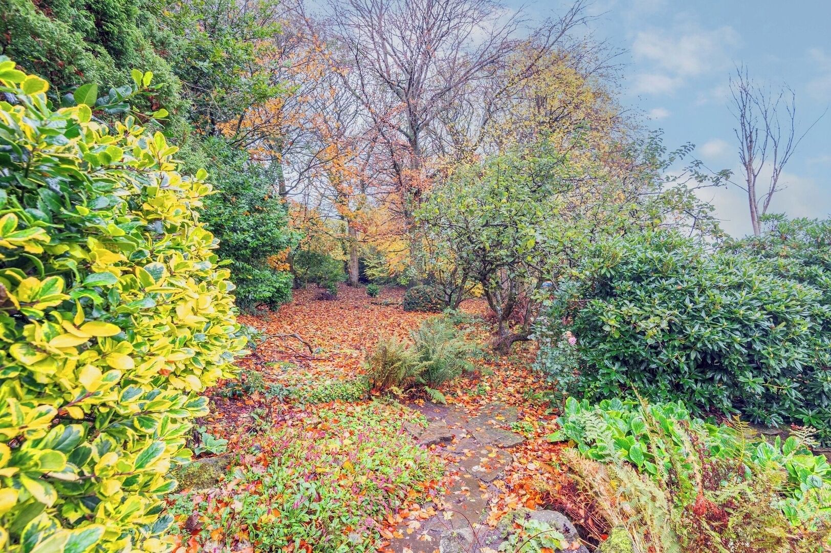 المنطقة المحيطة بالمنشأة