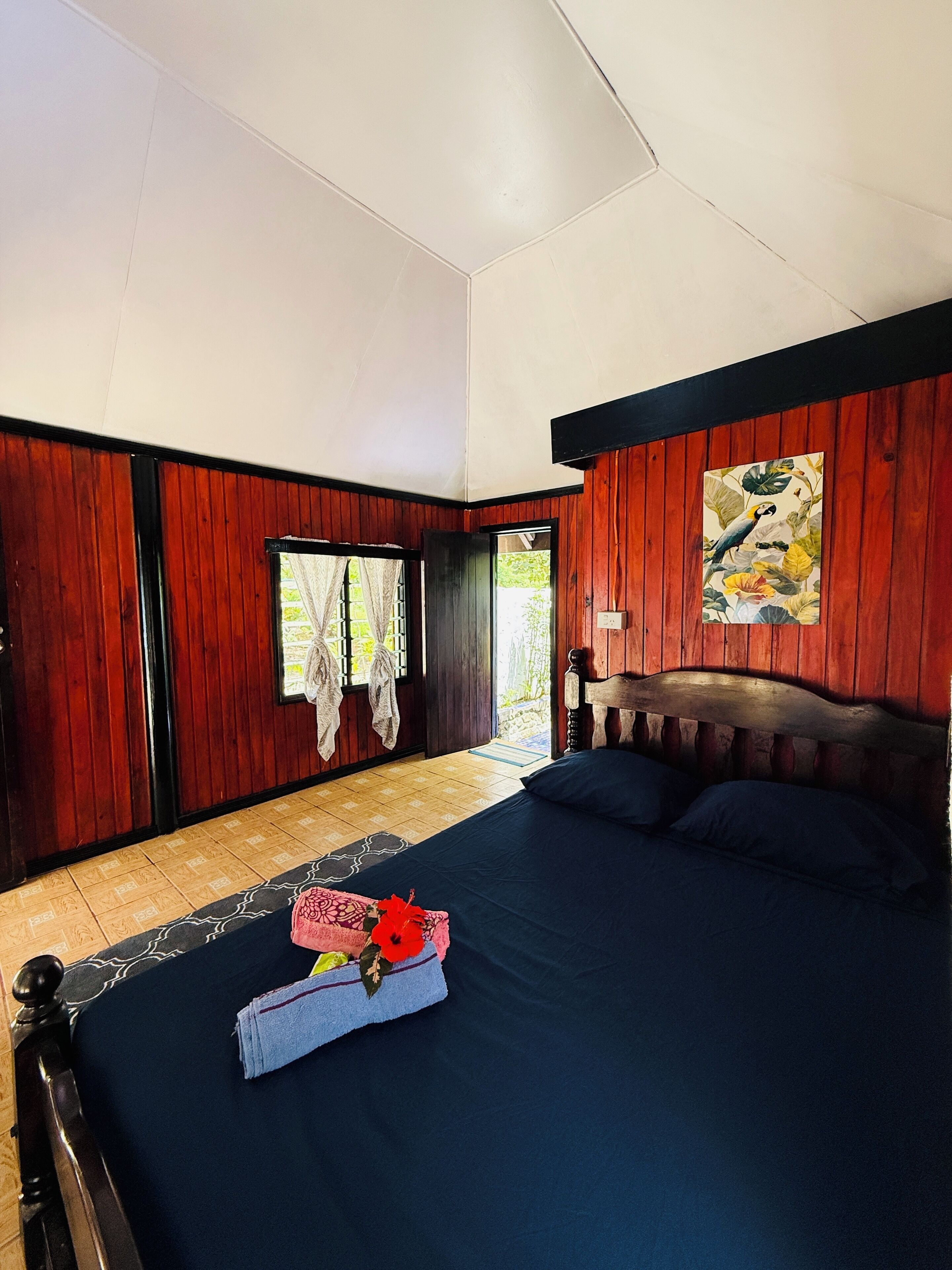 Internet, bed sheets