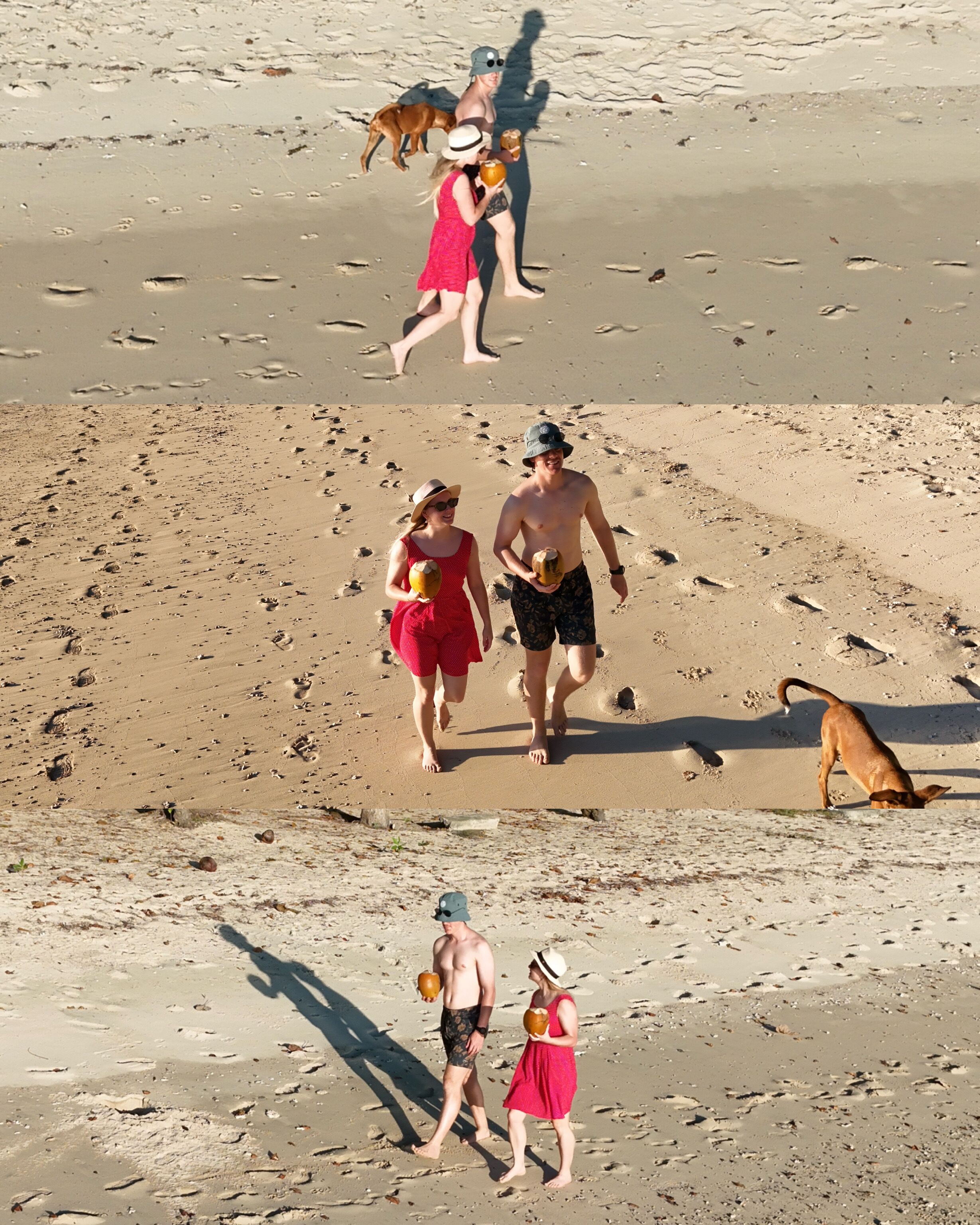 Une plage de sable avec des empreintes de pas et un chien.